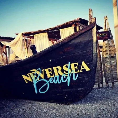 Dolphin Near Neversea Konstanca