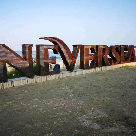 Dolphin Near Neversea * Konstanca