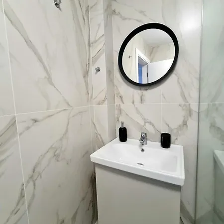 Dolphin Near Neversea Konstanca