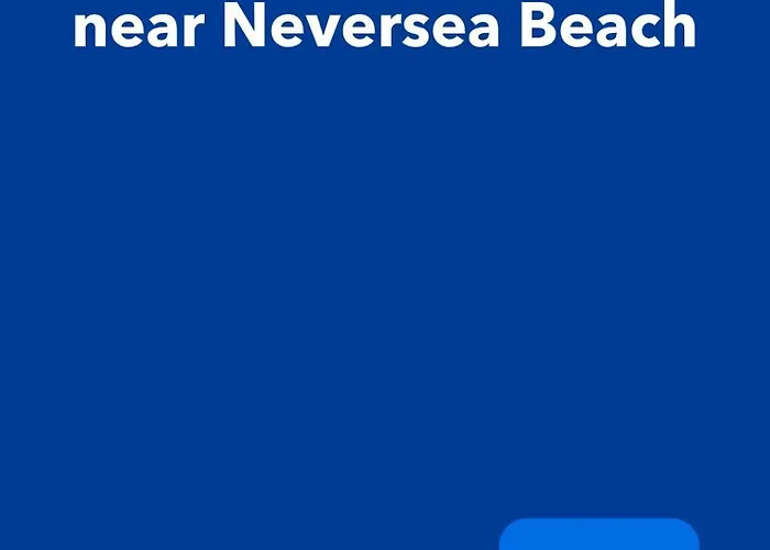 Dolphin Near Neversea Constanţa